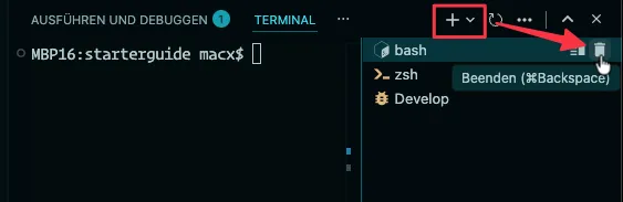 VS Code Terminal Profile Selection